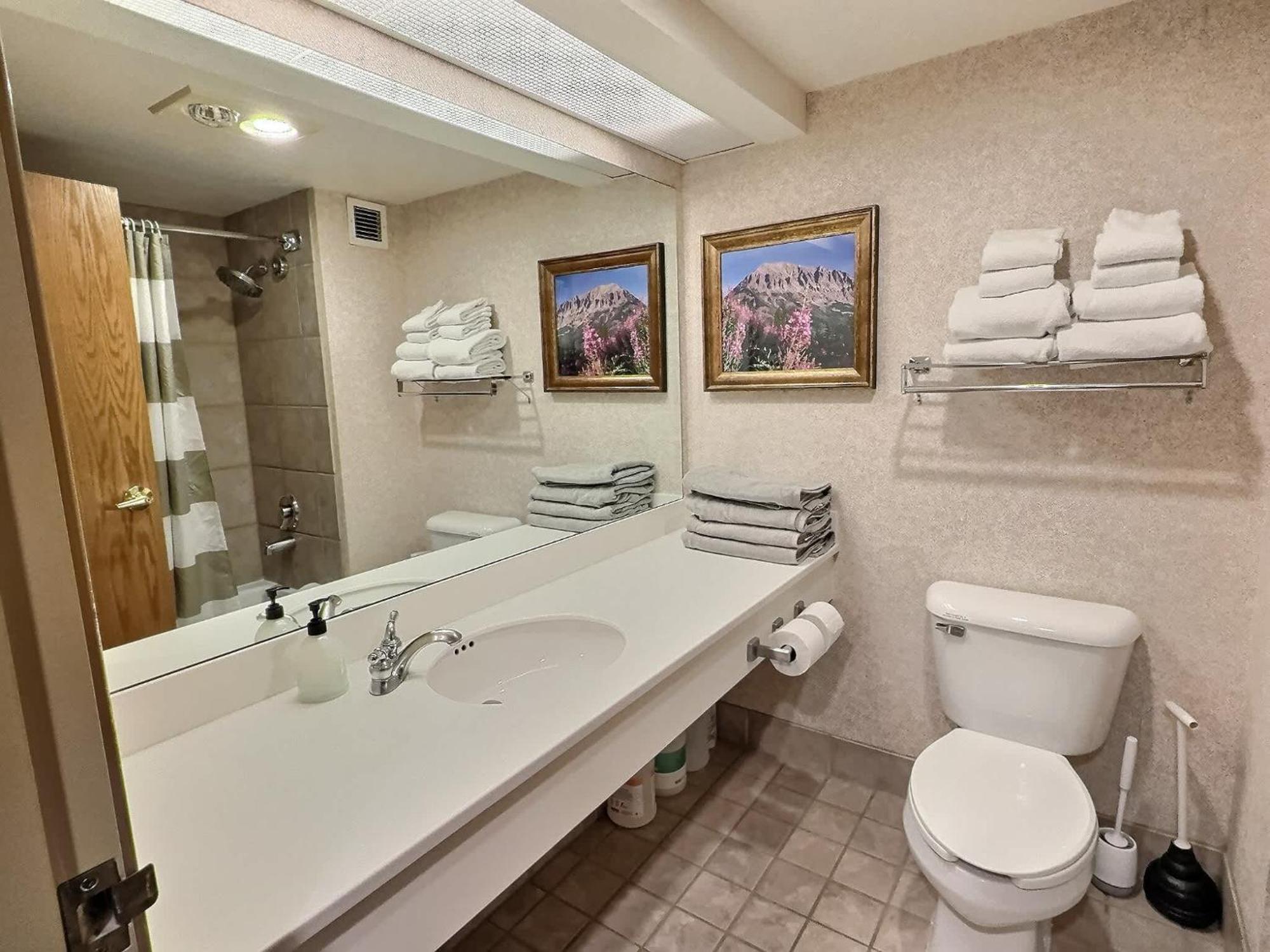 1Bd 274 Perfect Location With Pool And Hot Tub Villa Crested Butte Eksteriør billede